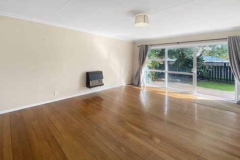 Photo of property in 458 Ruahine Street, Terrace End, Palmerston North, 4410