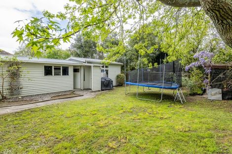 Photo of property in 35 Saint Annes Street, Levin, 5510
