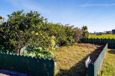 Photo of property in 11 Ponderosa Place, Opunake, 4616