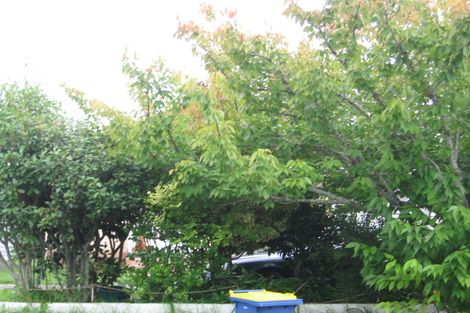 Photo of property in 27 Te Kanawa Crescent, Henderson, Auckland, 0610