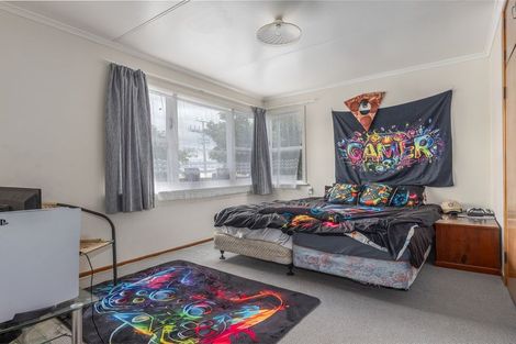 Photo of property in 43 Tiro Tiro Road, Levin, 5510