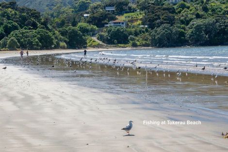 Photo of property in 262 Tokerau Beach Road, Karikari Peninsula, Kaitaia, 0483