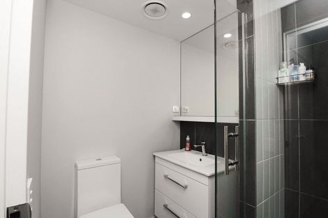 Photo of property in Vsp South, 203/168 Victoria Street, Te Aro, Wellington, 6011