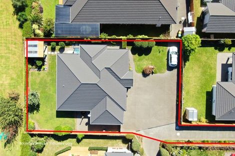 Photo of property in 5 Layla Place, Katikati, 3178