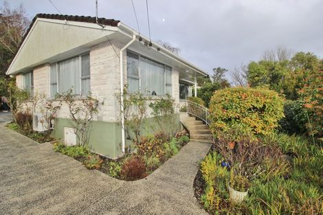 Photo of property in 84 Norwood Street, Normanby, Dunedin, 9010