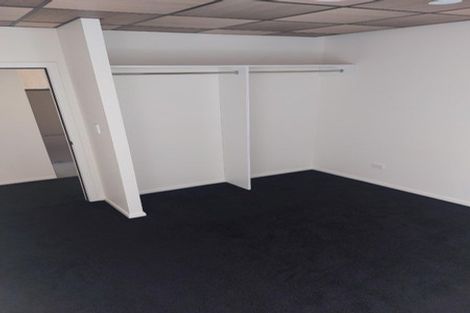 Photo of property in Te Kainga, 195 Willis Street, Te Aro, Wellington, 6011