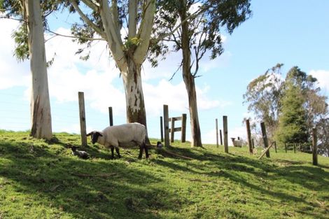 Photo of property in 17 Matarawa Road, Kinleith, Tokoroa, 3491