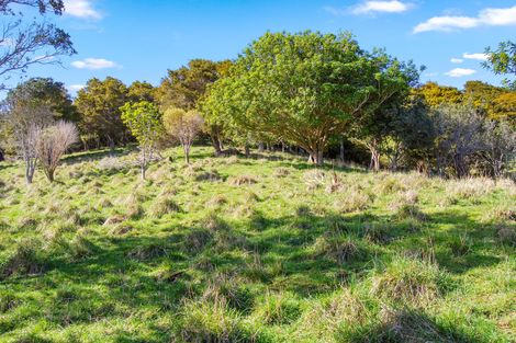 Photo of property in 598a Oneriri Road, Kaiwaka, 0573