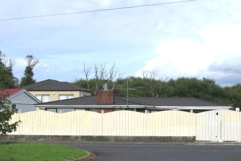 Photo of property in 193 Richardson Road, Mount Albert, Auckland, 1041