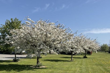 Photo of property in 2501 Tram Road, West Eyreton, Rangiora, 7475