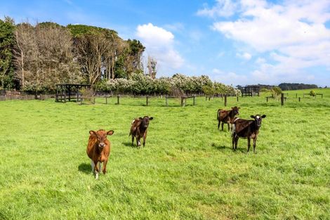 Photo of property in 96 Westhead Road, Pollok, Waiuku, 2683