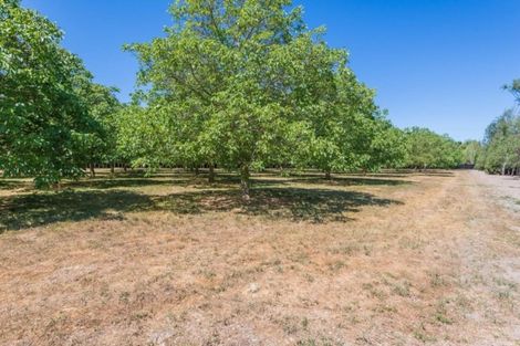 Photo of property in 138 Cullen Avenue, Swannanoa, 7475