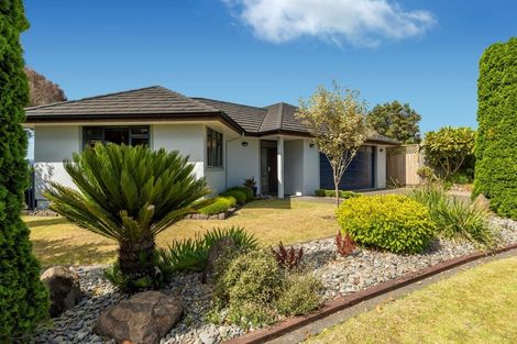 Photo of property in 15 La Colina Place, Bethlehem, Tauranga, 3110