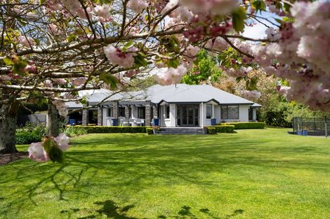 Photo of property in 80 Maungakawa Road, Cambridge, 3496