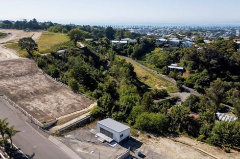 Photo of property in 19 Hospital Terrace, Hospital Hill, Napier, 4110