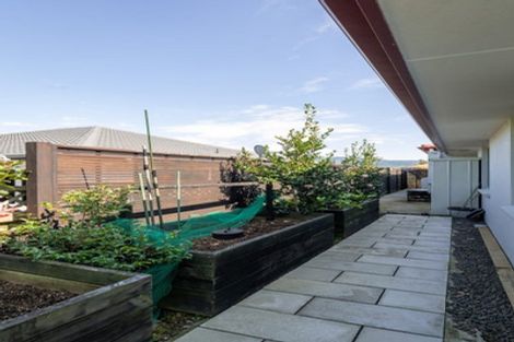 Photo of property in 12 Turnberry Close, Aongatete, Katikati, 3178