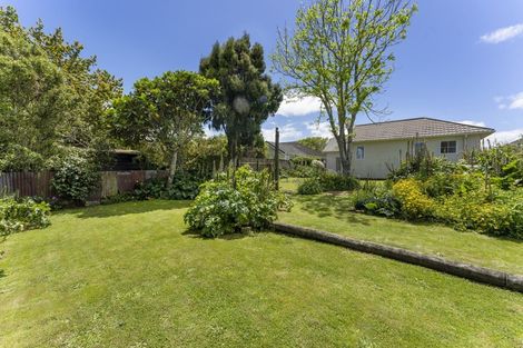 Photo of property in 88 Mangorei Road, Strandon, New Plymouth, 4312