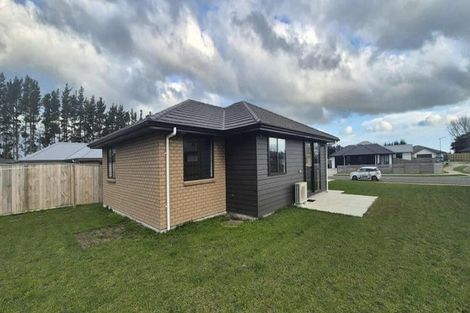 Photo of property in 49 Hereford Street, Marton, 4710