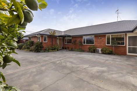 Photo of property in 49a George Street, Blenheim, 7201