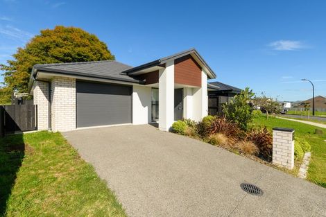 Photo of property in 19 Omanga Way, Bethlehem, 3110