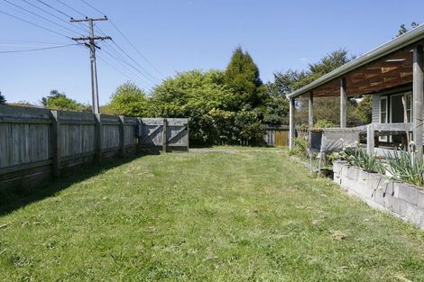 Photo of property in 53 Scannell Street, Taupo, 3330