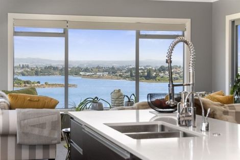 Photo of property in 62a Milton Road, Otumoetai, Tauranga, 3110