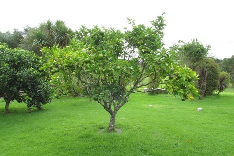 Photo of property in 47 Wilson Road, Wellsford, 0972