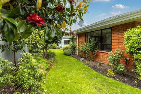 Photo of property in 28b Weld Street, Blenheim, 7201