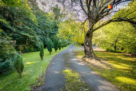 Photo of property in 55b Every Street, Andersons Bay, Dunedin, 9013