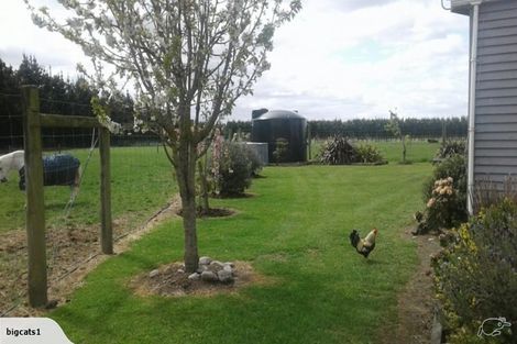 Photo of property in 519 Depot Road, Burnt Hill, Oxford, 7495