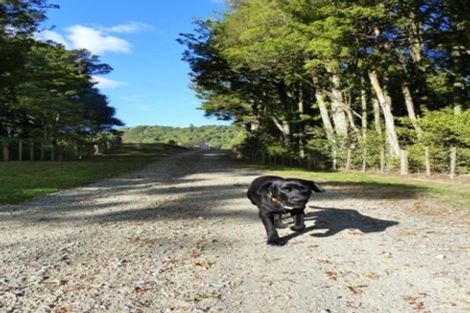 Photo of property in 110 Ti Tree Way, Hunua, 2583
