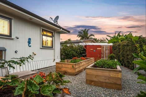 Photo of property in 19 Dunbar Road, Point Wells, Warkworth, 0986