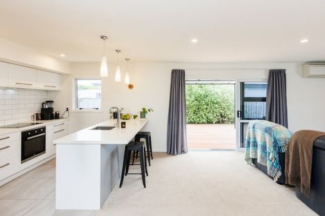 Photo of property in 44a Pharazyn Street, Feilding, 4702