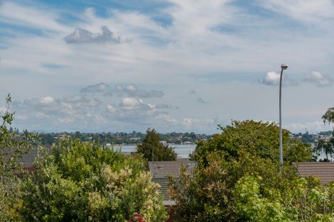 Photo of property in 355 Maungatapu Road, Maungatapu, Tauranga, 3112