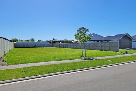 Photo of property in 29 Cressy Place, Darfield, 7510