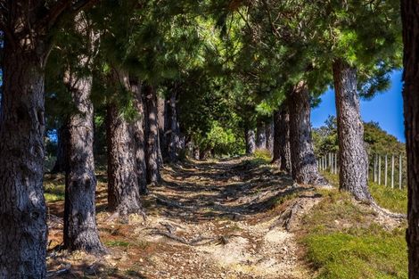 Photo of property in 91 Boar Bush Gully Road, Featherston, 5710