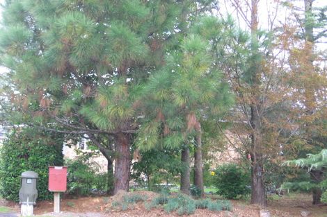 Photo of property in 25 Te Kanawa Crescent, Henderson, Auckland, 0610