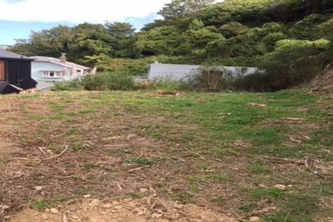 Photo of property in 9 Kilmister Avenue, Thorndon, Wellington, 6011