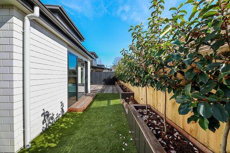 Photo of property in 5a Poynter Street, Blenheim, 7201
