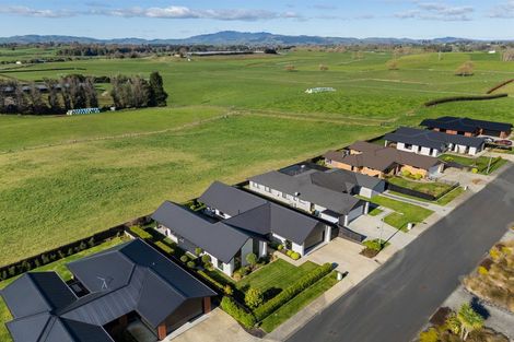 Photo of property in 19 Wikaira Road, Te Awamutu, 3800