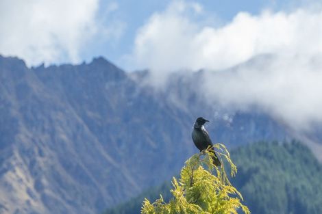 Photo of property in 12a Windsor Place, Queenstown, 9300