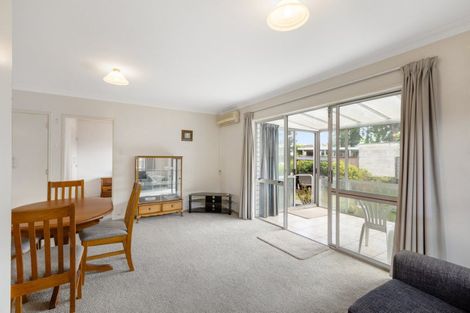 Photo of property in 119b Otumoetai Road, Brookfield, Tauranga, 3110