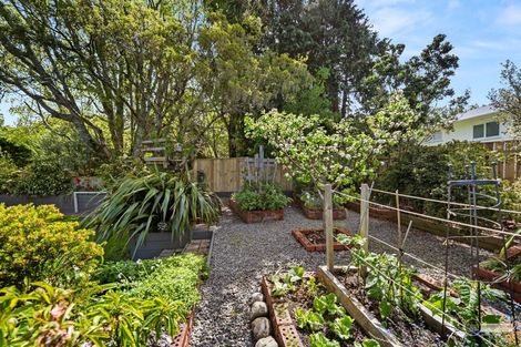 Photo of property in 62 Hill Road, Belmont, Lower Hutt, 5010