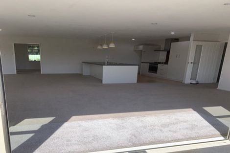 Photo of property in 98 Brookside Road, Rolleston, 7614