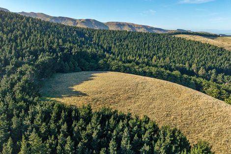 Photo of property in 270 Millers Road, Gebbies Valley, Tai Tapu, 7672