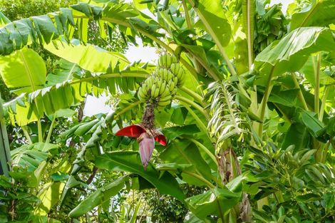 Photo of property in 44 Ewing Road, Riverside, Whangarei, 0112