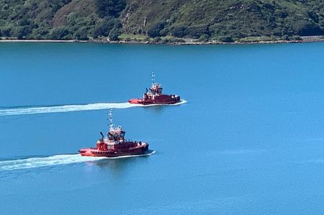 Photo of property in 68b Maida Vale Road, Roseneath, Wellington, 6011