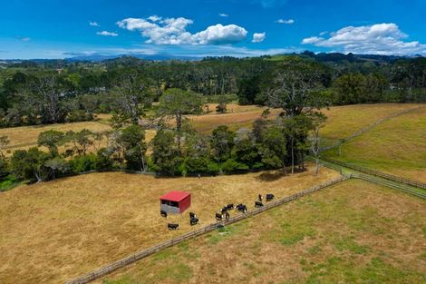 Photo of property in 11 Tawa Road, Kumeu, 0891