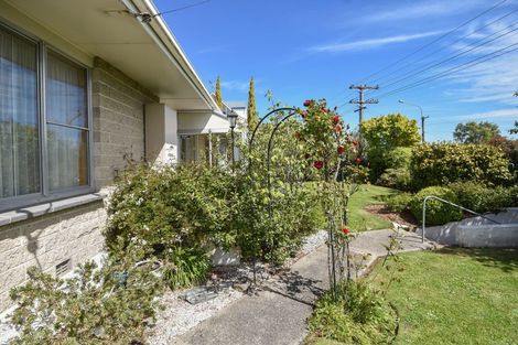 Photo of property in 117 Elgin Road, Kenmure, Dunedin, 9011