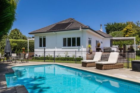 Photo of property in 65 Mchardy Street, Havelock North, 4130
